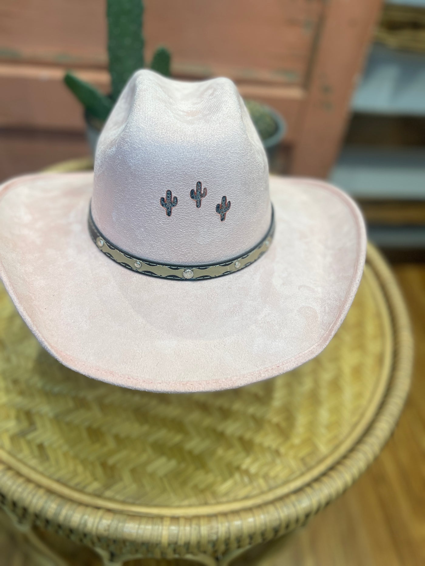 Cactus Trio Ribbon Cowboy Hat