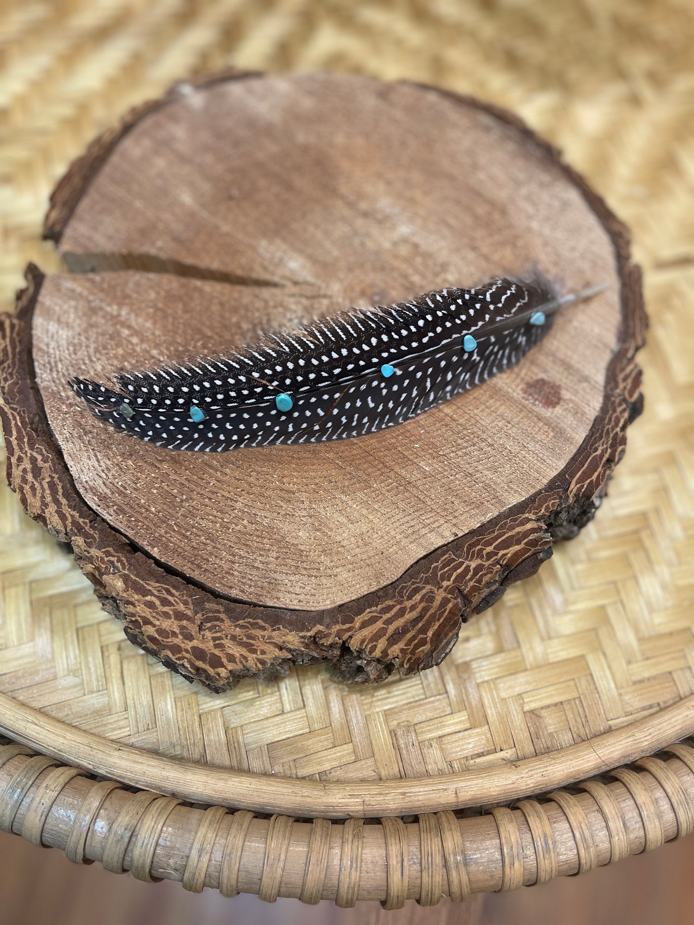 Lainey's Lucky Feather Trail Hat (Spotlight Model)